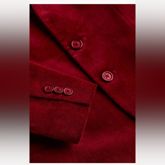 NWT Velvet toddler blazer in burgundy - Picture 4 of 4